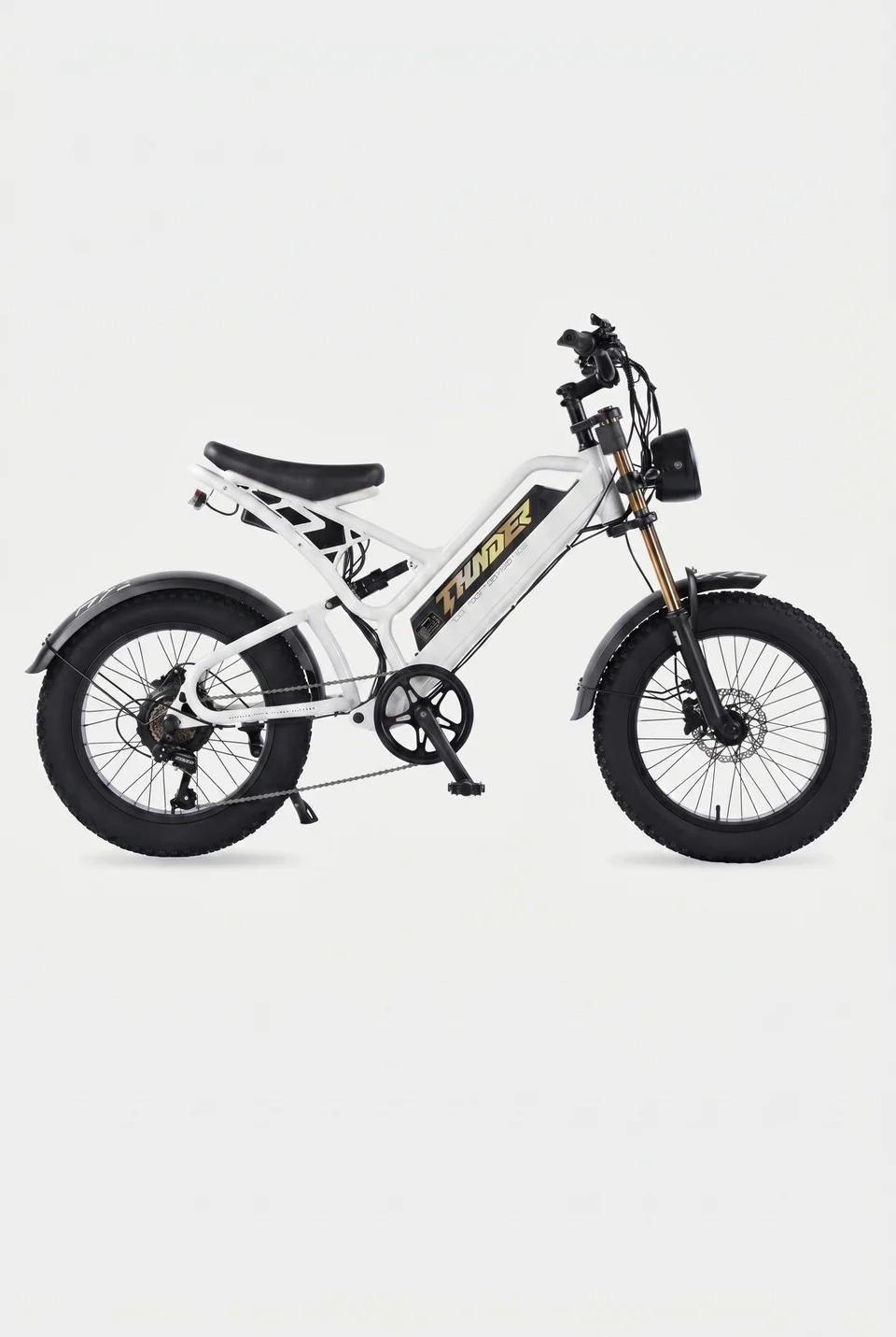 BICICLETA ELECTRICA THUNDER 750 - Imagen 5