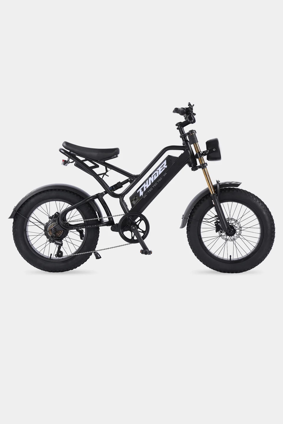 BICICLETA ASISTIDA